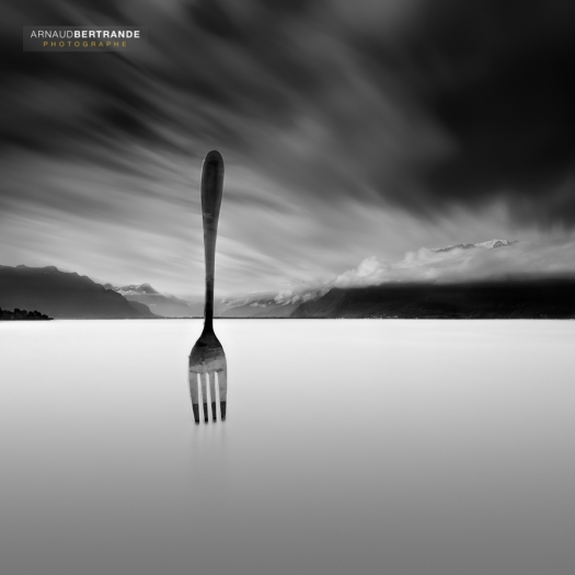 The fork