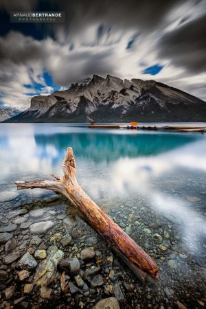 Souche sur le lac Minnewanka