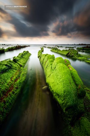 Plage de Barrika-1