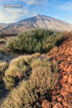 Le Teide