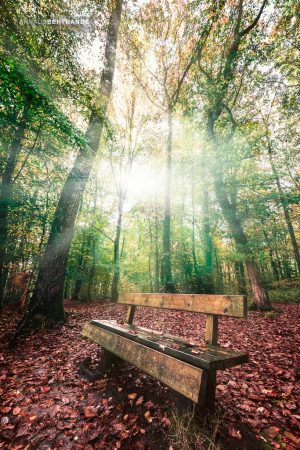 Le banc