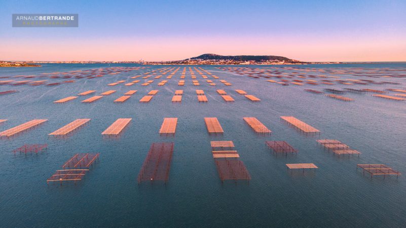 Parc à huîtres de Bouzigues vu par un drone au coucher du soleil avec la ville de Sète