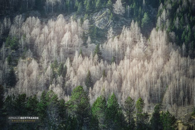 Gavarnie